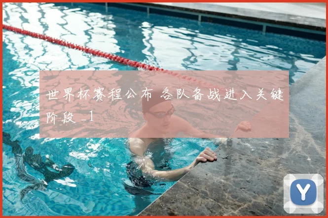 世界杯赛程公布 各队备战进入关键阶段 _1