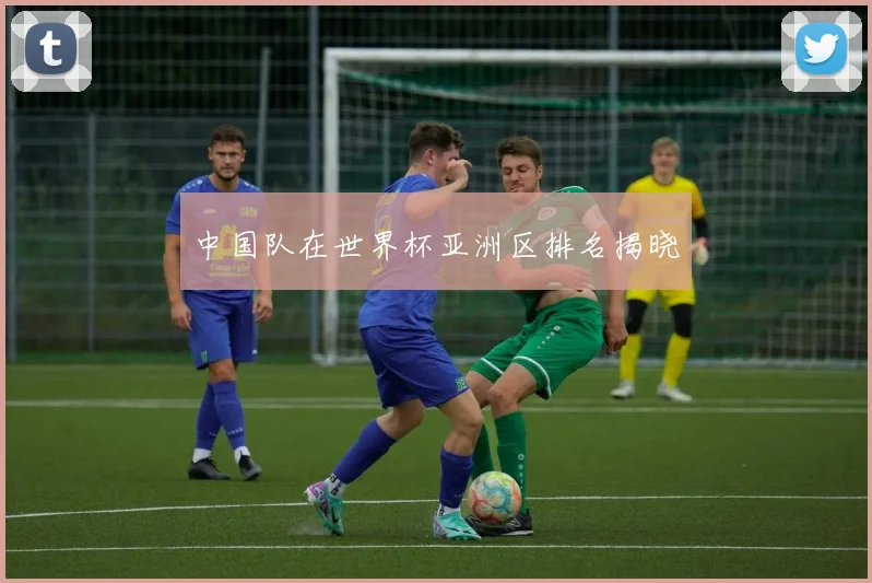 中国队在世界杯亚洲区排名揭晓